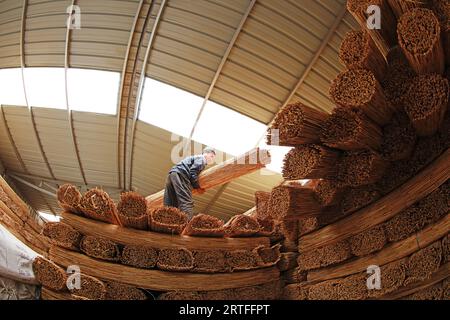 Luannan County - May 31, 2019: Workers are putting processed reed curtains, Luannan County, Hebei Province, China Stock Photo