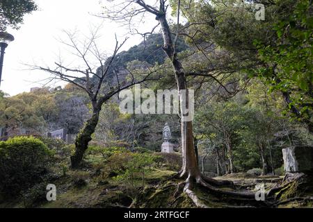 Kagoshima, Japan. 13th Mar, 2023. Nature hiking trails in Mount Shiroyama (Credit Image: © Taidgh Barron/ZUMA Press Wire) EDITORIAL USAGE ONLY! Not for Commercial USAGE! Stock Photo