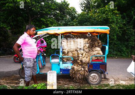 Erkaklar ayollarning kokraklarini ochkozlik bilan sorishadi yigit talabaning eshagi