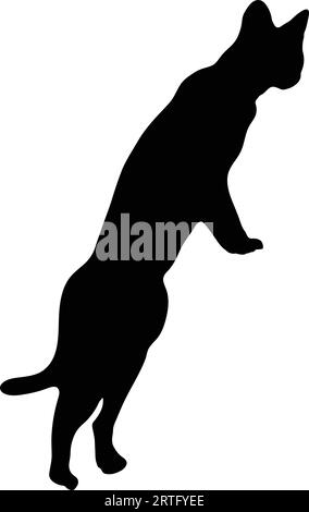 Black cat silhouette or cat vector on white background Stock Vector