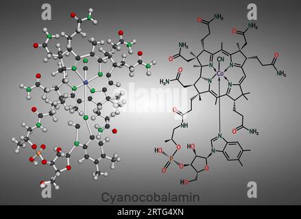 Cyanocobalamin, cobalamin molecule. It is a form of vitamin B12. Structural chemical formula and molecule model. Illustration Stock Photo