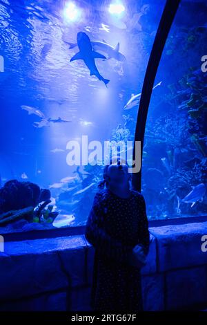 Little girl looking at fishes and shark in oceanarium. Enjoying in ocean exhibit tank. Stock Photo
