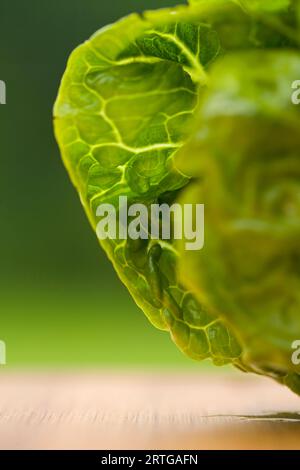 Little gem lettuce on a chopping board Stock Photo