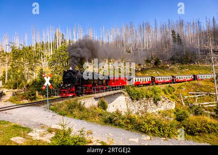 Late summer hike through the Harz National Park around Schierke ...