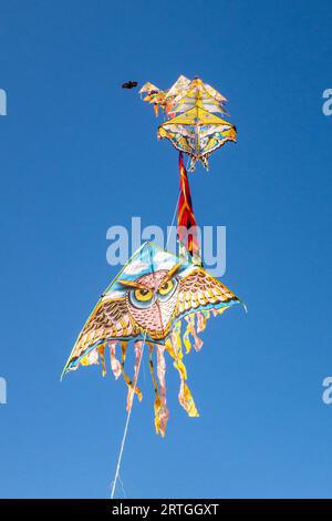 Colourful kites flying in a blue sky Stock Photo