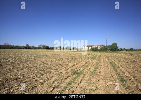 Abandoned  country house surrounded by plants in a mowed corn field with a radio antenna in the distance on a sunny day in the italian countryside Stock Photo