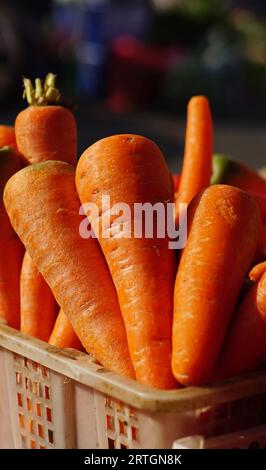 fresh carrots in a white plastic basket Stock Photo