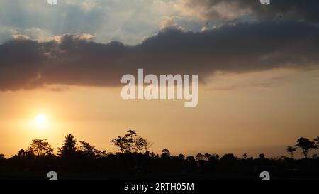 twilight behind the trees with an orange sky and thick clouds. Stock Photo