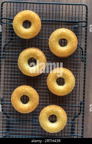 Plain homemade baked donuts on a cooling rack. Stock Photo