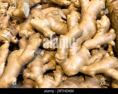 Fresh raw ginger all over background, close up. ginger root. Stock Photo