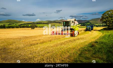 Harvesting in the Scottish Borders in autumn. Stock Photo