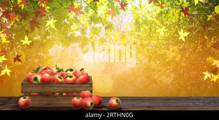 Autumn concept with red apples in wooden crate against nature background. Stock Photo