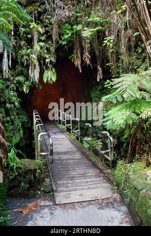 Entrance to Thurston Lava Tube in Hawaii Volcanoes National Park on Big Island, Hawaii, USA Stock Photo