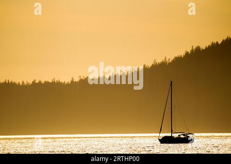 Sailboat in the evening light in the bay off Port Renfrew on Vancouver Island, British Columbia, Canada Stock Photo