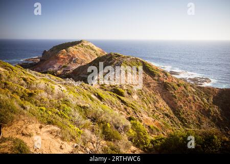 The famous Cape Schanck boardwalk runs towards the sea and rock formation known as London Bridge, in Victora. Australia Stock Photo