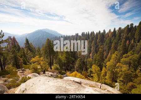 Viewing point from Generals Hwy thru Sequoia National Park in California, USA Stock Photo