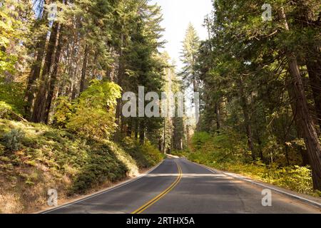 Generals Hwy thru Sequoia National Park in California, USA Stock Photo