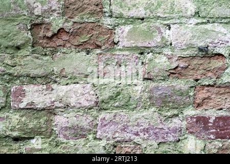 Background of an old vintage dirty brick wall with peeling plaster and green moss. Grunge background of a wall of bricks. Stock Photo