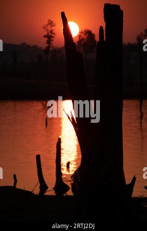 Orange skies and sunset over dead trees submerged in Nam Theun river in Thalang, Konglor loop, Thakhek, Laos Stock Photo