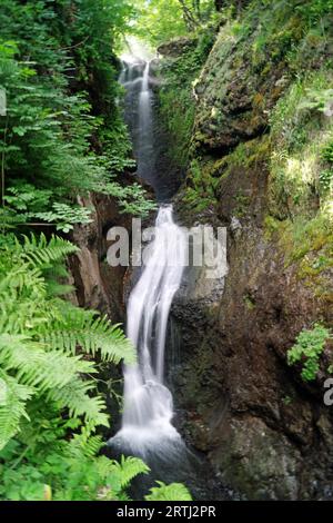 Glenariff, Queen of the Glens, is one of Glenariff's nine Antrim. Glenariff Forest Park covers more than 1, 000 hectares of planted forests, lakes Stock Photo