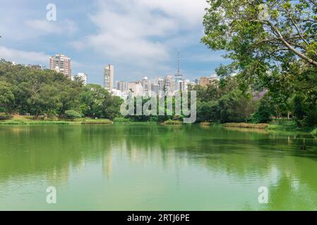 Sao Paulo, Brazil, October 15 2016: View of the city skyscrapers from the Aclimacao Park. This park was the first zoo in Sao Paulo and founded by Stock Photo