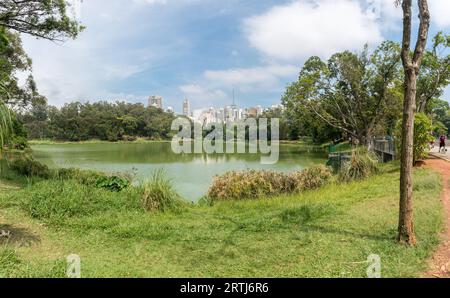 Sao Paulo, Brazil, October 15 2016: View of the city skyscrapers from the Aclimacao Park. This park was the first zoo in Sao Paulo and founded by Stock Photo