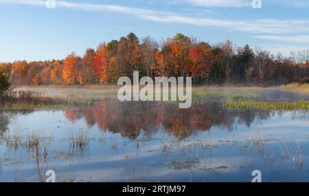 Fall autumn trees reflecting on still water lake with morning fog Stock Photo