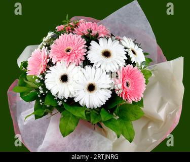 A lovely bouquet of fresh white and pink gerberas in a vase Stock Photo