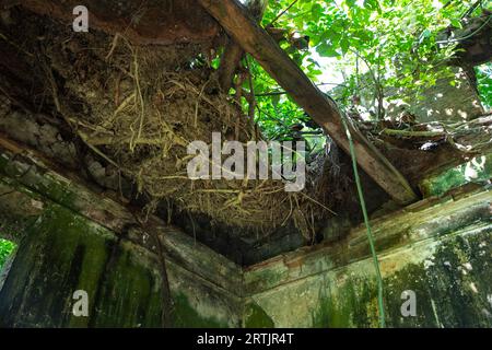 Kishorganj, Bangladesh: The dilapidated ancestral home of world-renowned Oscar-winning filmmaker Satyajit Ray at Masua village in Katiadi upazila of K Stock Photo