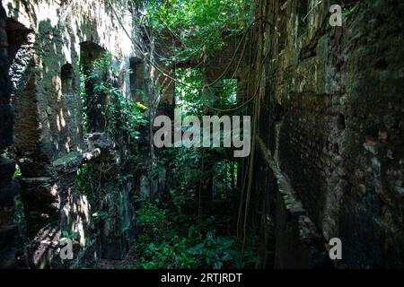 Kishorganj, Bangladesh: The dilapidated ancestral home of world-renowned Oscar-winning filmmaker Satyajit Ray at Masua village in Katiadi upazila of K Stock Photo