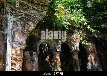 Kishorganj, Bangladesh: The dilapidated ancestral home of world-renowned Oscar-winning filmmaker Satyajit Ray at Masua village in Katiadi upazila of K Stock Photo