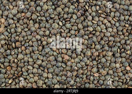 raw french green lentils as a background. Top view. Flat lay Stock Photo