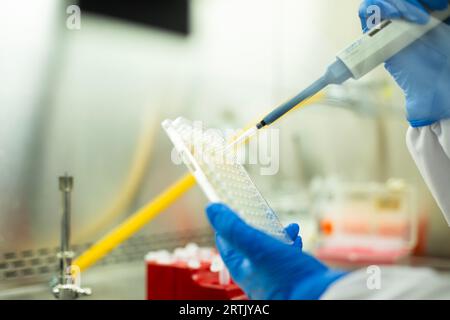 Lab Bio Cell cell culture and microbiology laboratory, cancer biology Stock Photo ...