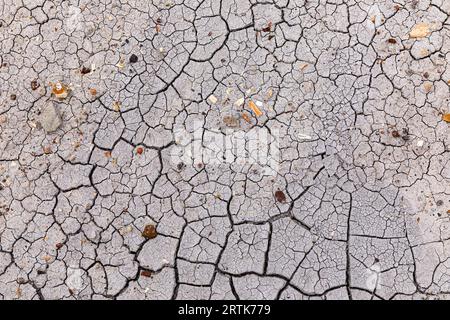 Close-up of mud cracked Earth, Petrified Forest National Park, Arizona, USA Stock Photo