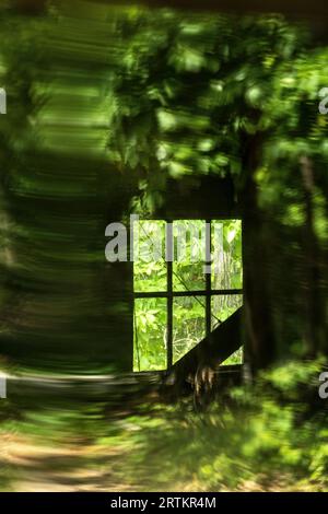 Green leaves reflected in the window of a 19th-century American cabin Stock Photo