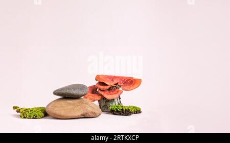 Organic nature moss and mushroom  products display. Natural style. Stone pedestal with green moss on pastel background for cosmetic products Stock Photo