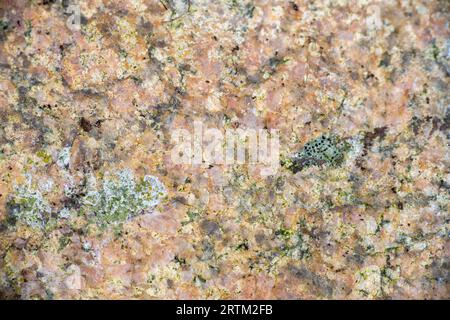 A closeup of a marble texture Stock Photo