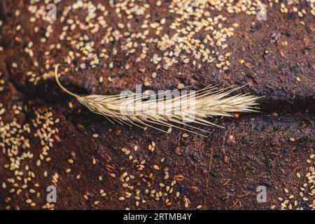 Homemade black rye cereal bread with seeds and ear of corn or wheat in a traditional street food market, close up Stock Photo
