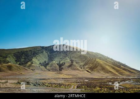 Bukit Teletubbies or Teletubbies Hill located behind Mount Bromo with clear blue sky Stock Photo