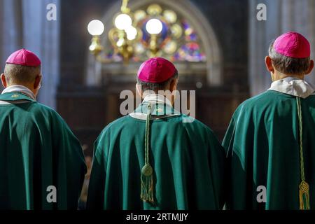 Messe d’imposition du pallium à Mgr Laurent Ulrich, archevêque métropolitain de Paris par Mgr Celestino Migliore, nonce apostolique, en l’église Saint Stock Photo