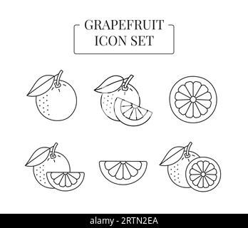 Fruit Grapefruit whole and half, cut into slices, set of line icons in vector Stock Vector