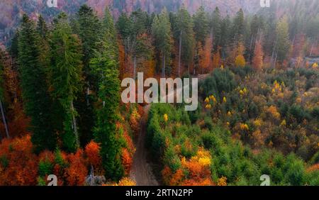 Drone's Autumn Reverie: Vibrant Foliage in Mountain Solitude Stock Photo