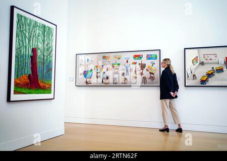 A woman looks at artworks by David Hockney, at Phillips in London, during the unveiling of the David Hockney auction highlights, before the exhibition opens to the public from 14 September to 21 September. Picture date: Thursday September 14, 2023. Stock Photo