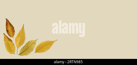 Golden autumn leaves on blank gold card. Stock Photo