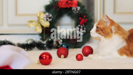 Beautiful ginger cat among Christmas decor. Cat in a New Year's interior. Cozy homely festive atmosphere and a pet. Christmas balls on the carpet Stock Photo