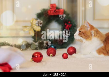 Beautiful ginger cat among Christmas decor. Cat in a New Year's interior. Cozy homely festive atmosphere and a pet. Christmas balls on the carpet Stock Photo