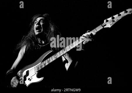 Milan Italy  1993-11-18: Billy Sheehan bassist of the Mr.Big group in concert at the Palatrussardi Stock Photo