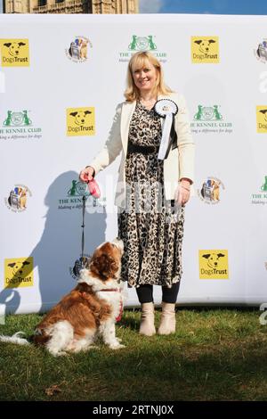 Dogs trust cavalier king charles spaniel cheap