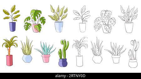 House plants in pot collection in stroke style. Line art, outline, colorful set. Vector illustration isolated on a white background. Stock Vector