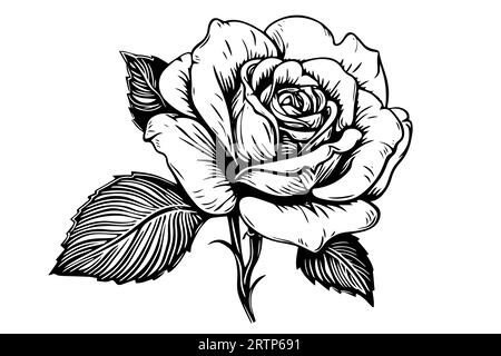 Retro Tattoo Line Art Vector & Photo (Free Trial) | Bigstock